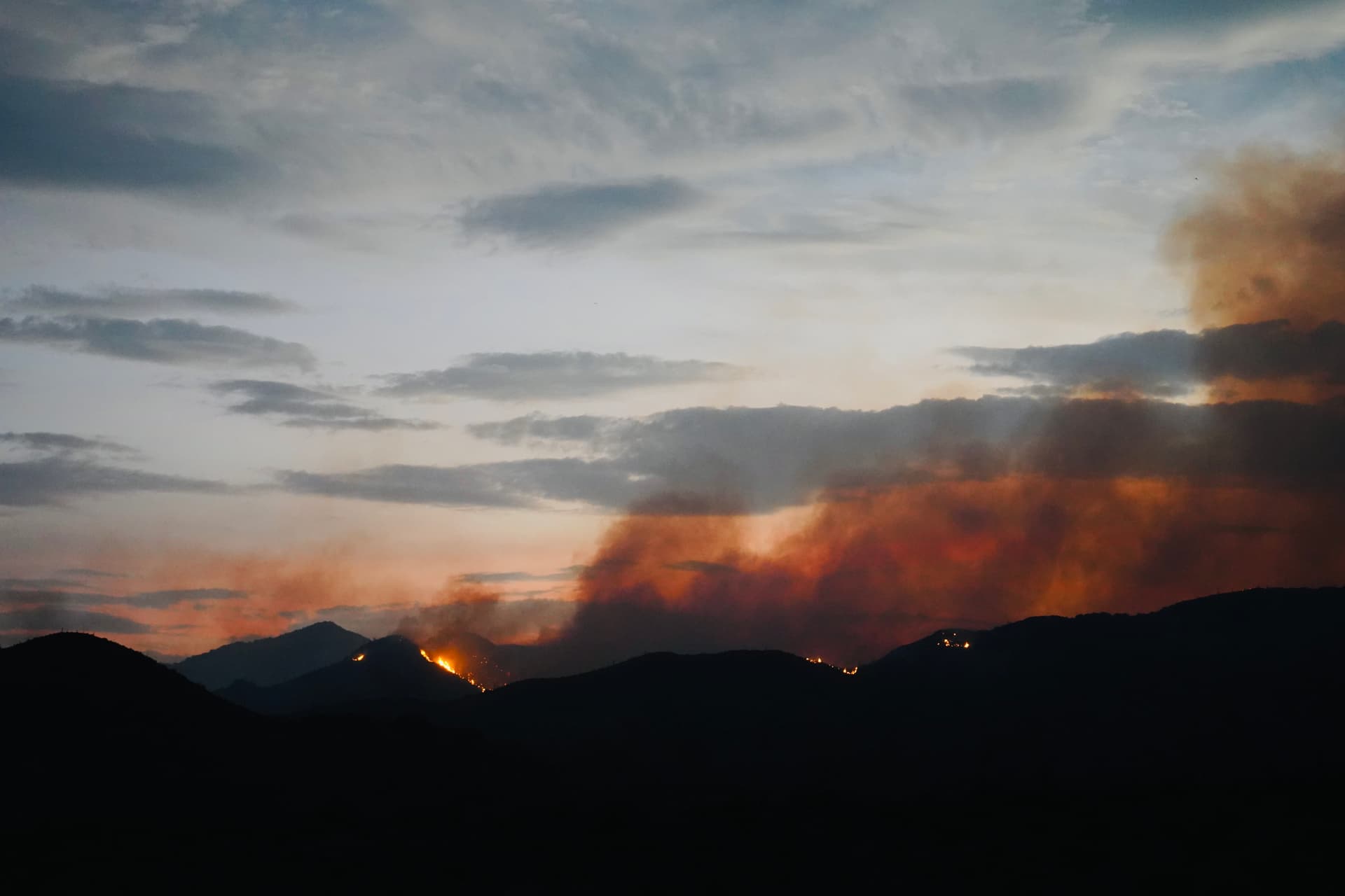 Portfolio image: af91a294-49f3-4859-92f5-88719b893988