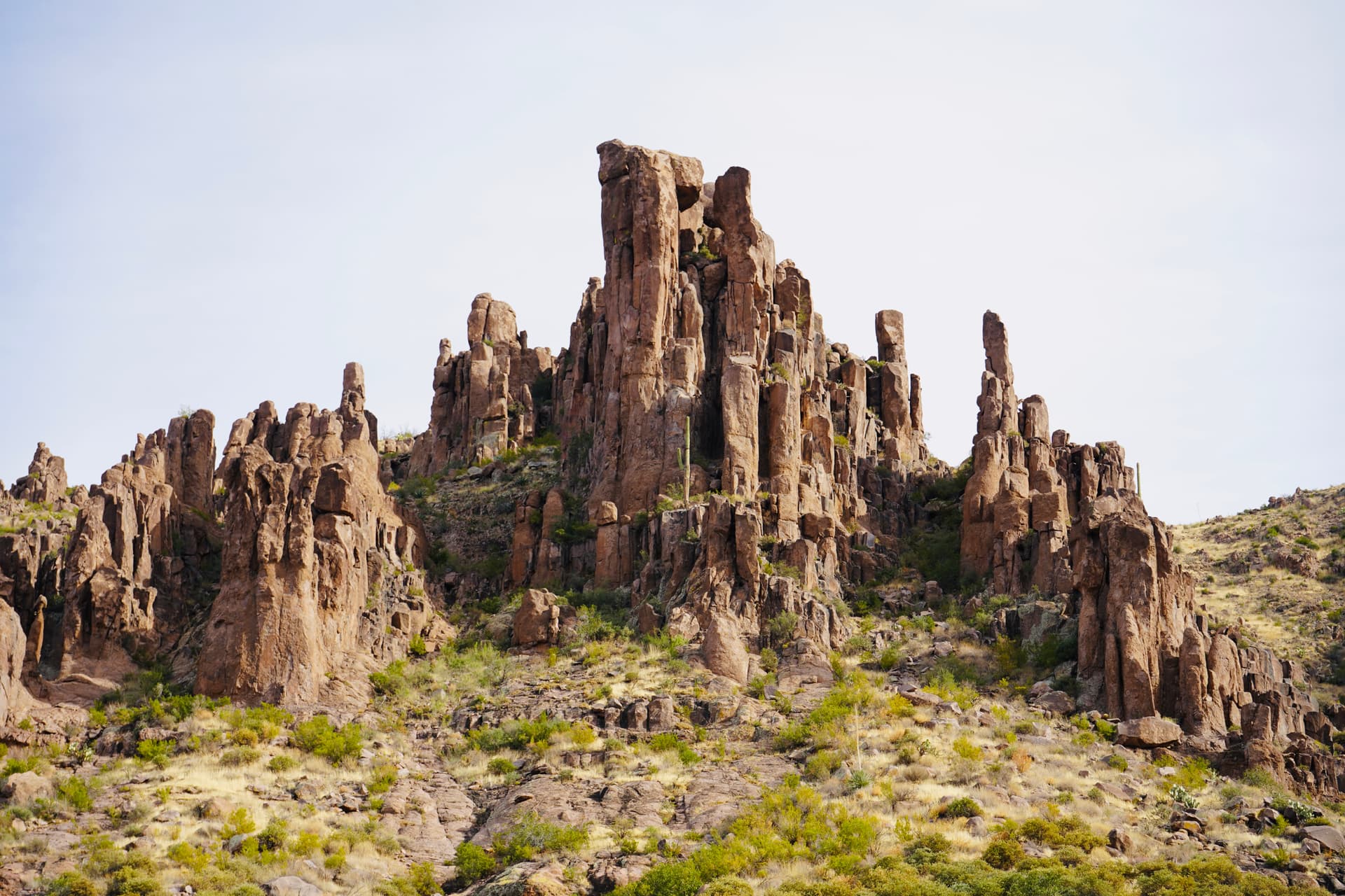 Portfolio image: c11efebc-968b-4e7c-8b9e-27908b92d450