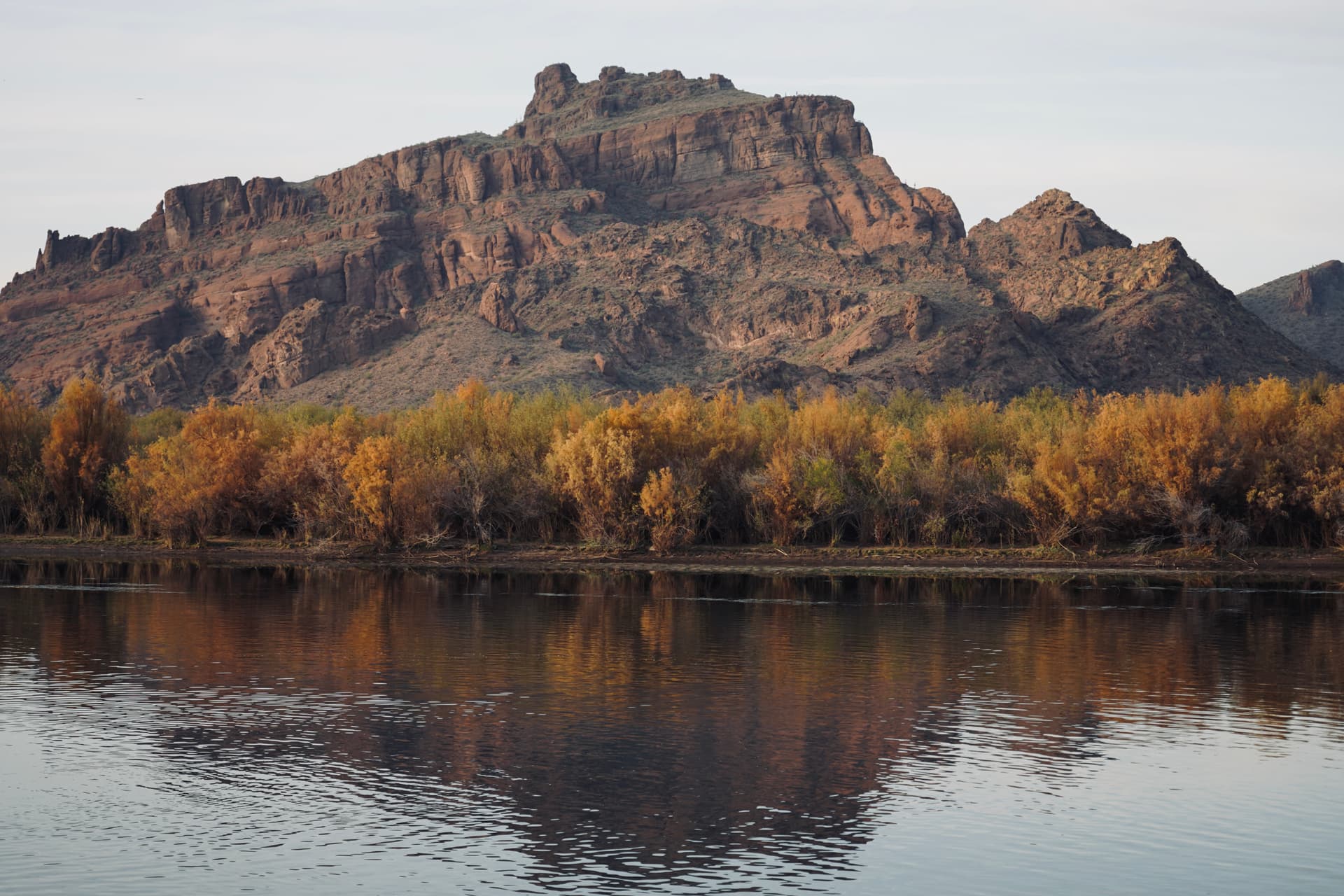 Portfolio image: d1b731cd-2bae-423b-a6fc-d1e41bb8ed6b