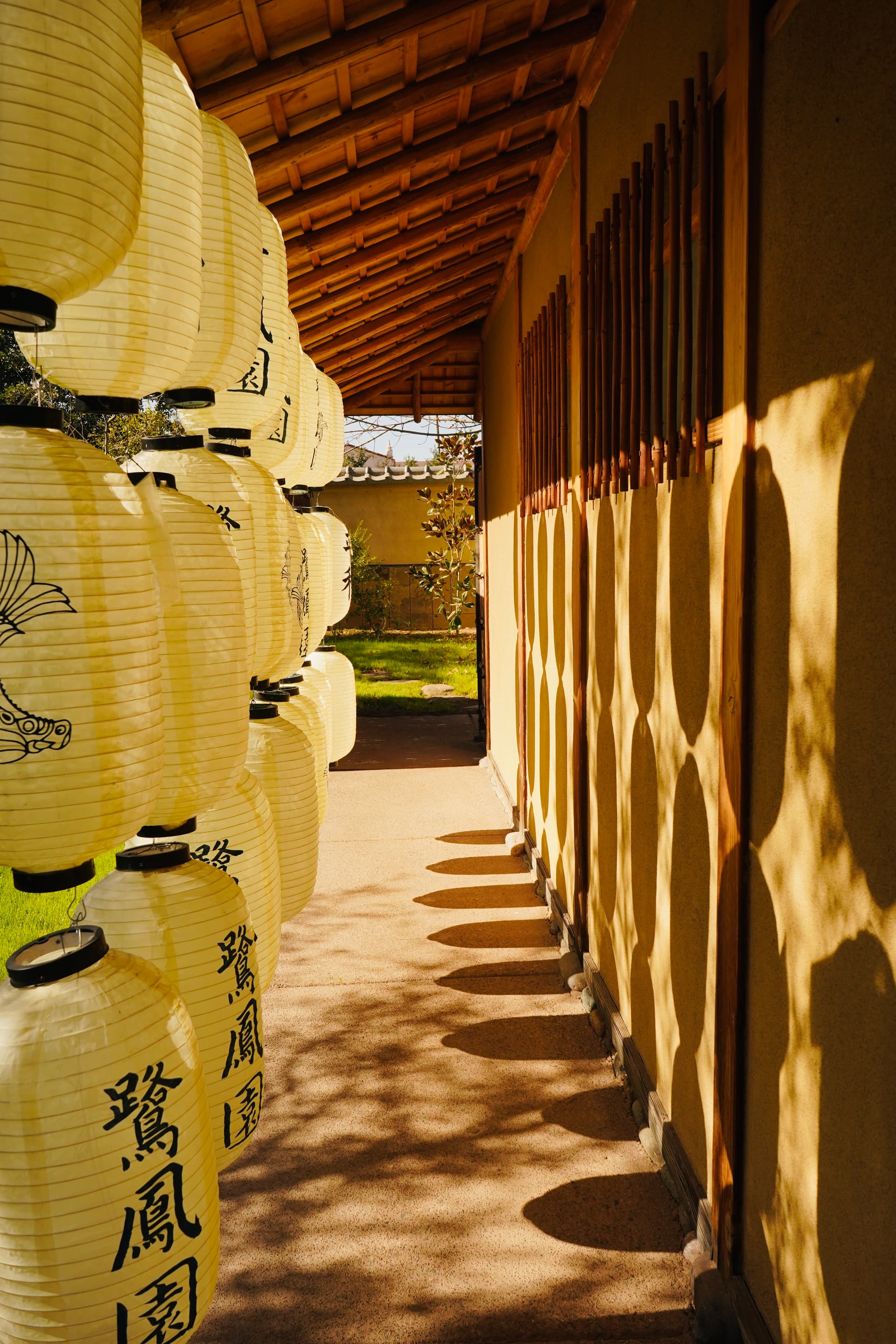 Portfolio image: 67244c84-8086-4aa4-ba11-a52ebccc443c