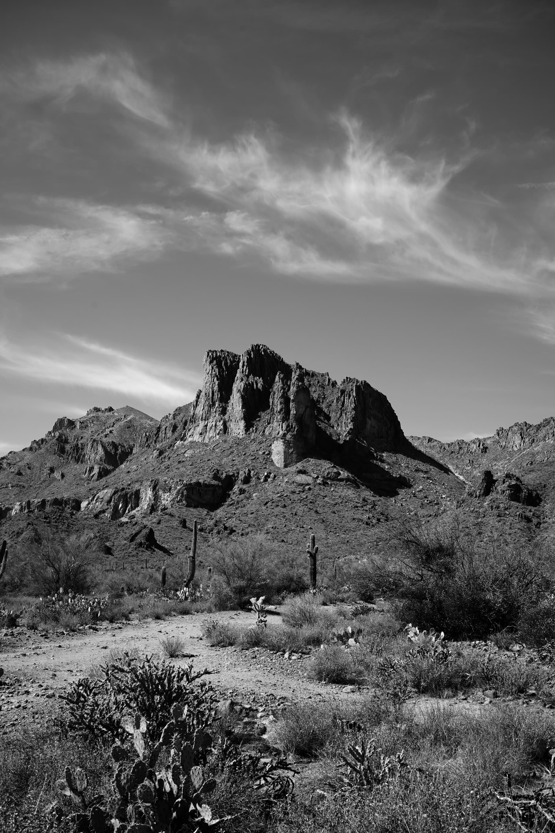 Portfolio image: 1cf1cba9-3964-47c0-9ad3-3464c7f8487d