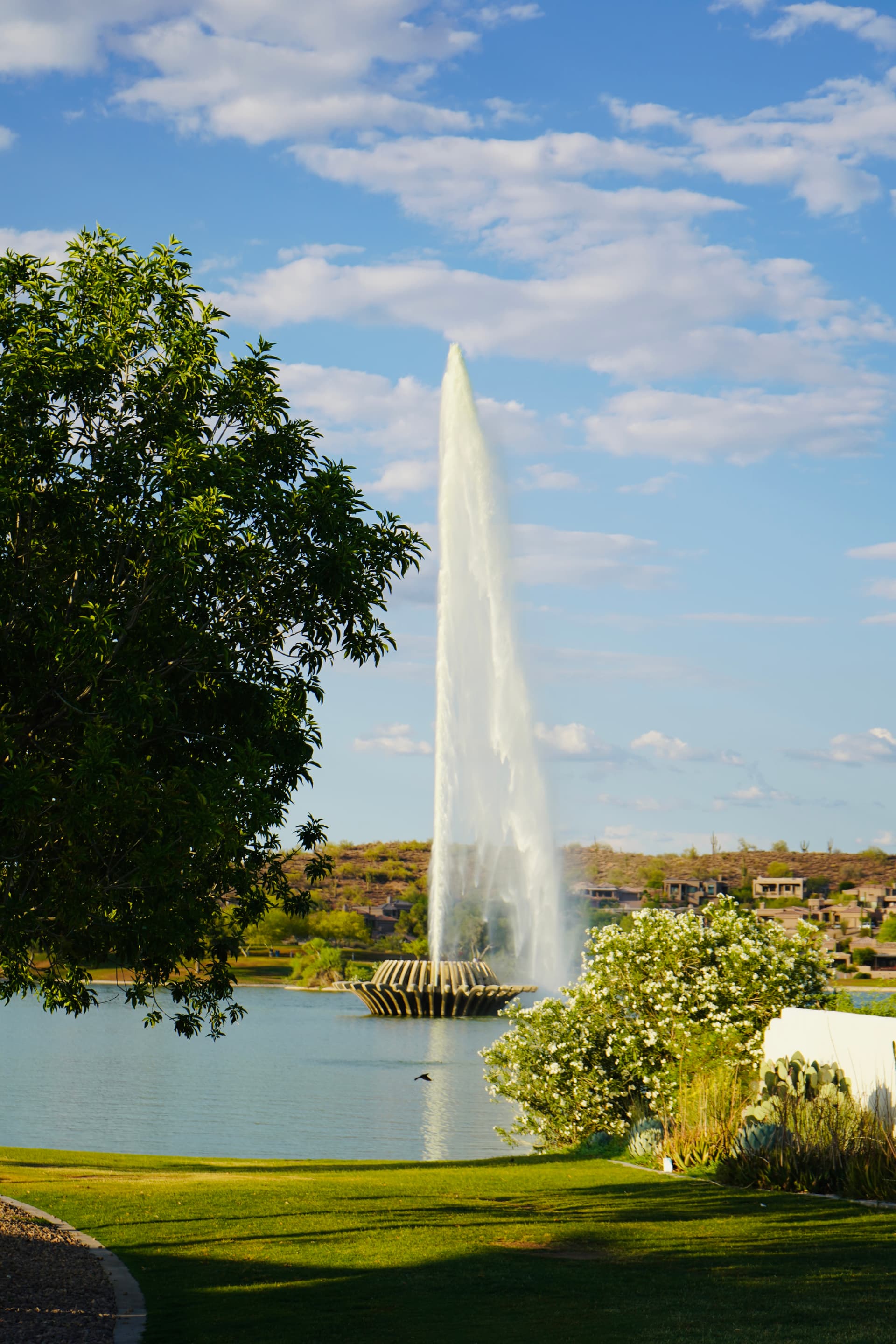 Portfolio image: fef1b24f-0c79-4407-9c59-c3eba271a034