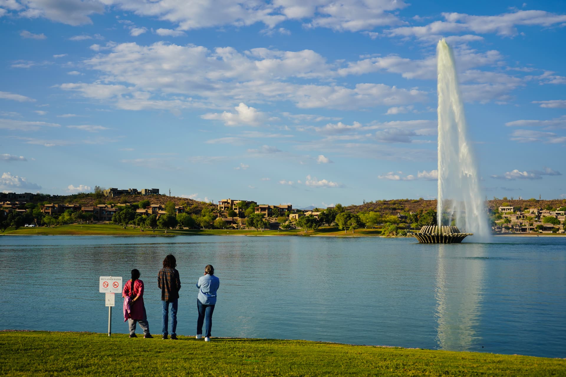 Portfolio image: 966c9776-fe77-43da-8273-b3783229de06