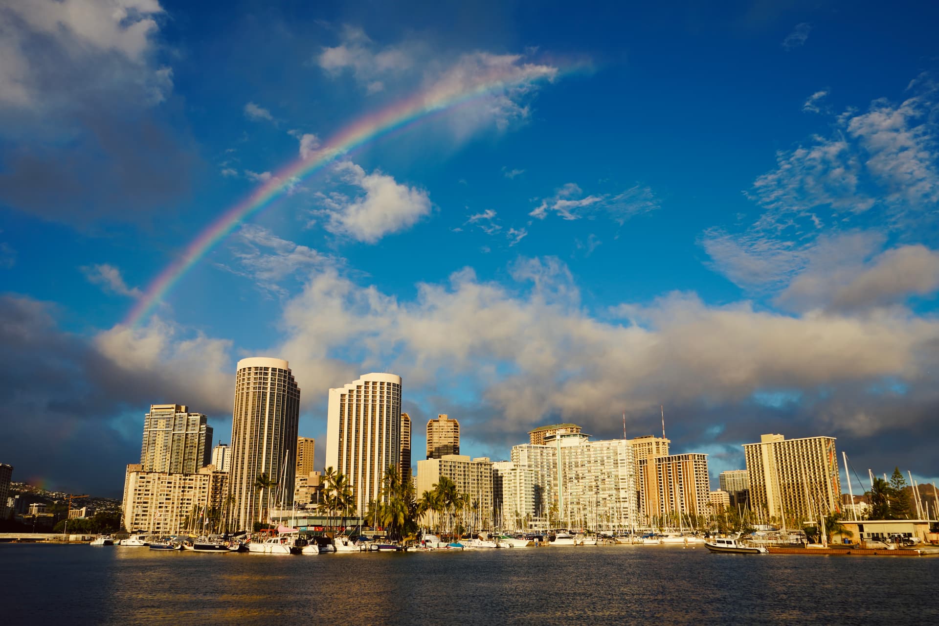 Portfolio image: 4ec63d32-c51f-4a40-9ee2-b4b62fe97441