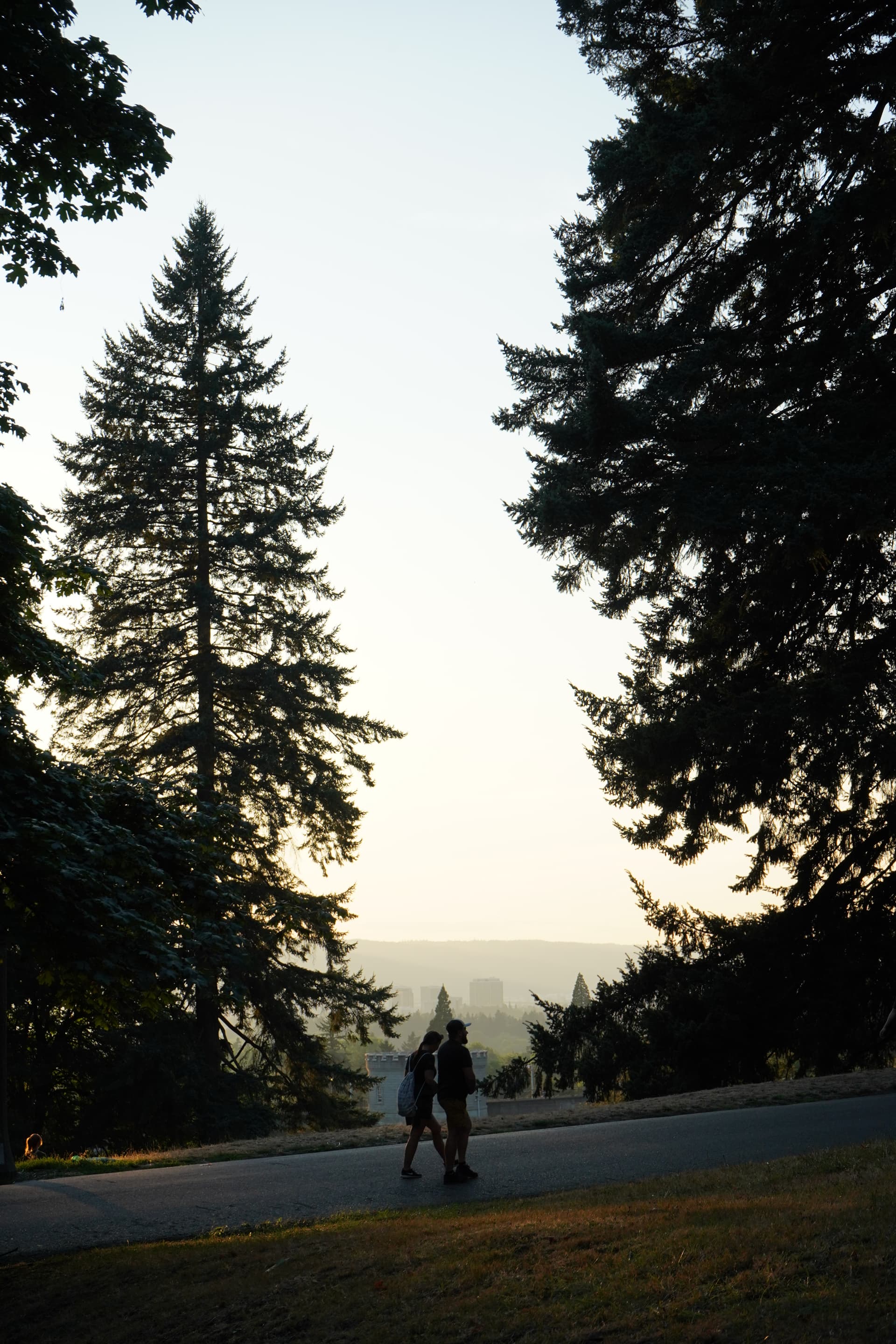 Portfolio image: 15a5a3f5-e4f3-4319-b5f0-513713270f2a