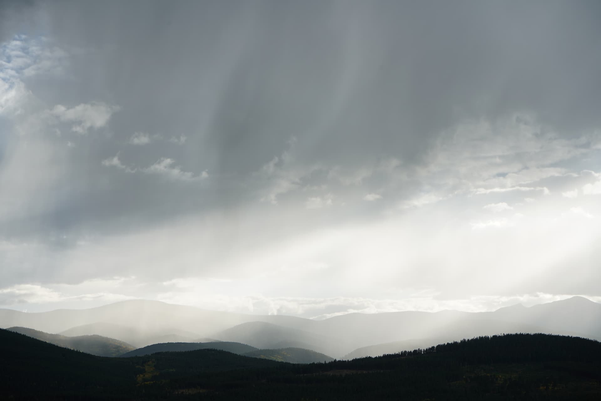 Portfolio image: cda3f501-cfc9-4f88-9549-22a5354785e5