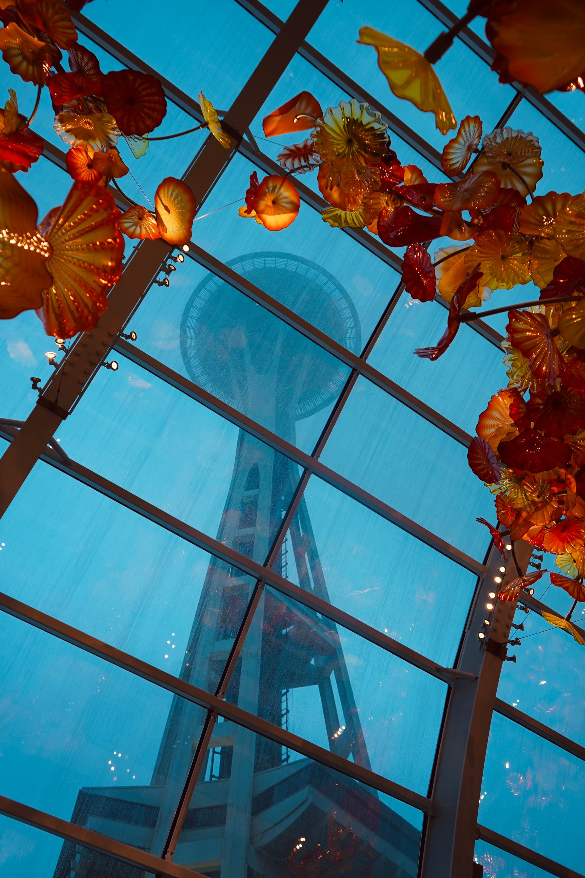 Portfolio image: 6d8cc0b6-e9ee-45c8-82e2-6276c5265c53