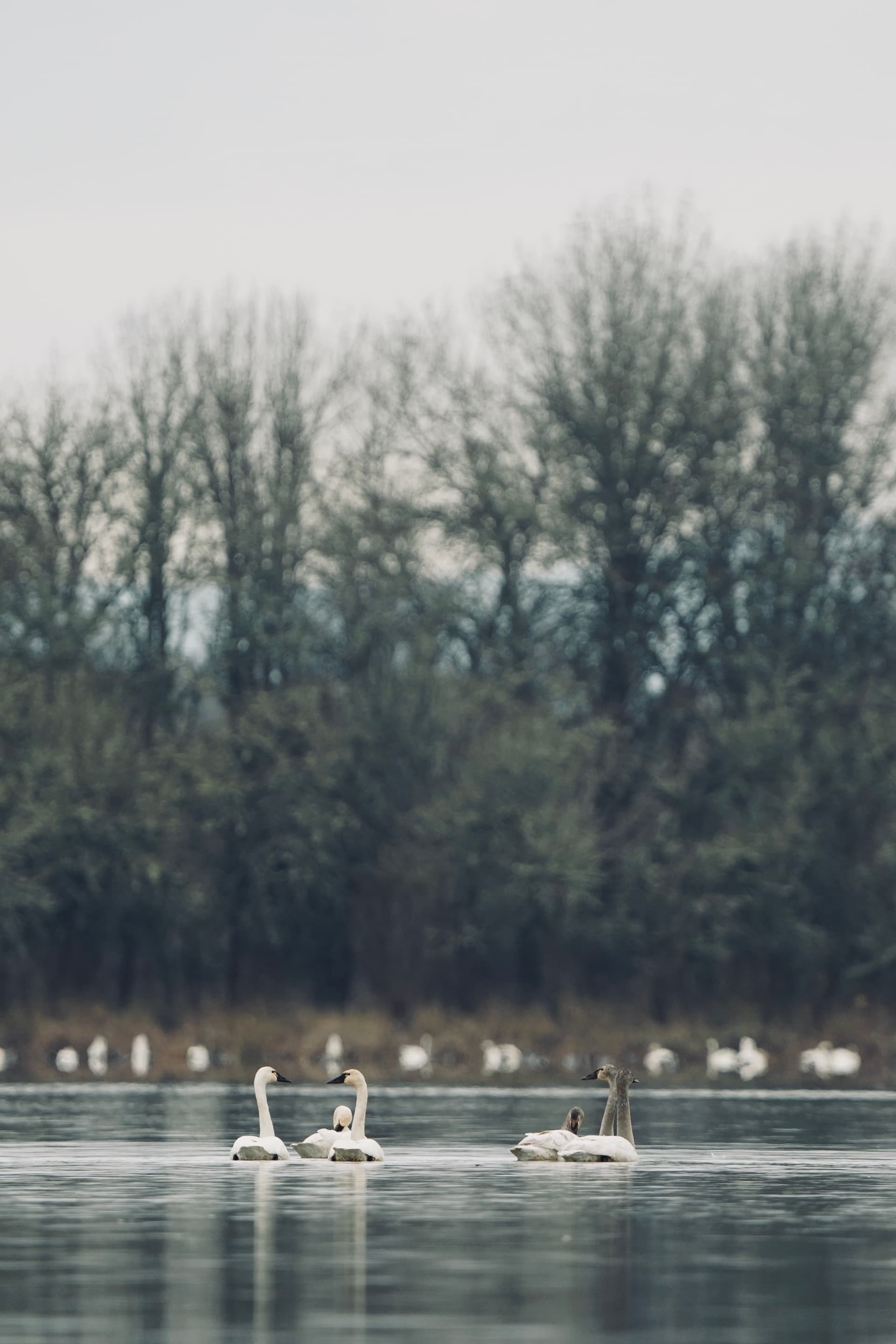 Portfolio image: c9b2a1c0-5505-4e1f-8973-041cb8c1916a